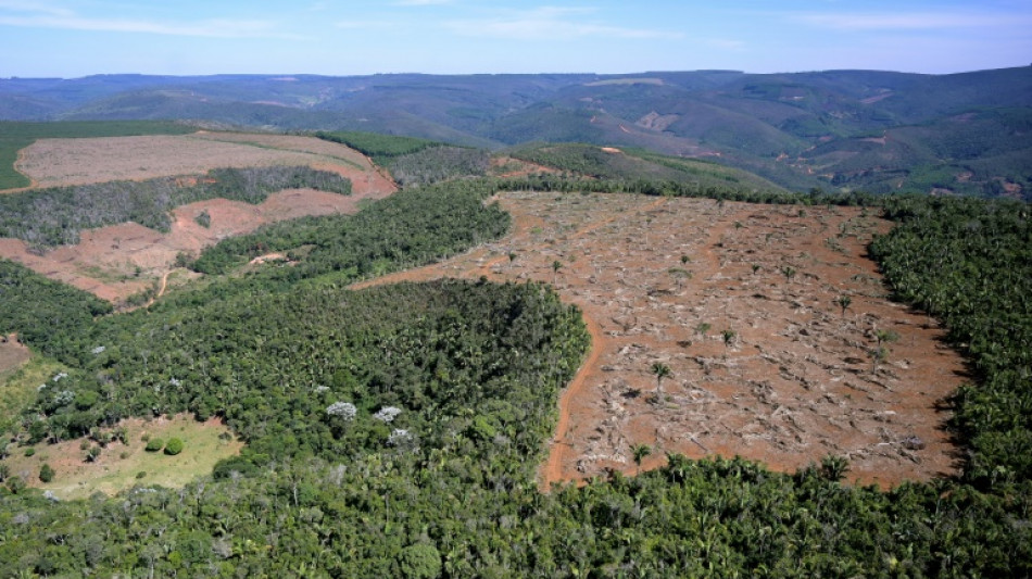 Brésil: déforestation record en Amazonie au 1er semestre