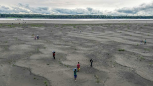 Seca extrema afeta mais de 420 mil crianças na Amazônia, diz Unicef