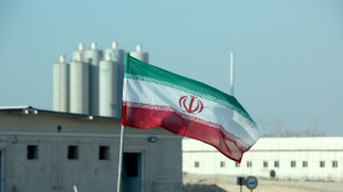 Iran removal of monitoring cameras may scupper nuclear talks: IAEA