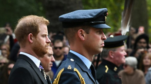 Le prince Harry accuse William de l'avoir jeté au sol en 2019