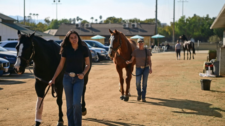 Scramble to shelter animals from Los Angeles wildfires