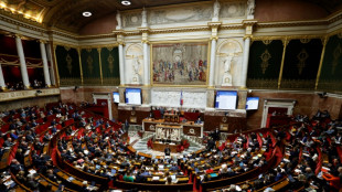 Feux de forêt: l'Assemblée veut muscler la prévention avant un été à hauts risques