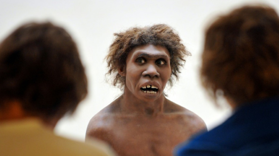 Homo erectus sabia se adaptar às condições desérticas, revela estudo