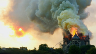 No culprit found five years on from Notre Dame fire