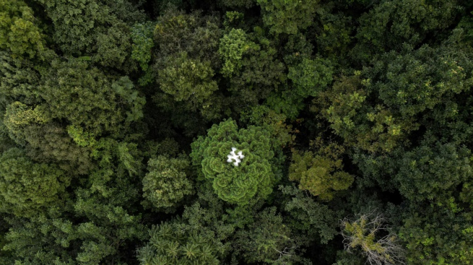 "Pas la fin du monde": le livre qui explique que tout ne va pas si mal sur Terre