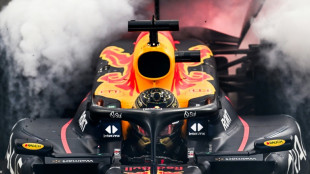 Max Verstappen gana en Abu Dabi, última carrera de la temporada de F1