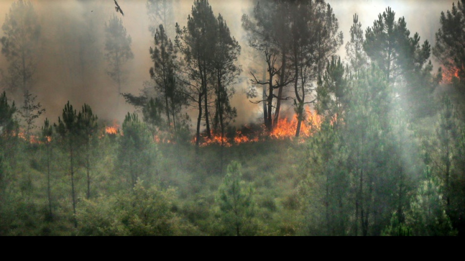 Nouvel épisode caniculaire en France, 2.700 hectares de forêts dévorés en Gironde