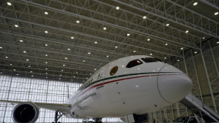 Mexico to rent out unwanted presidential jet for parties