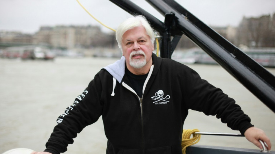 Defensor de baleias Paul Watson continua sua luta da prisão