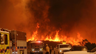 Incendios forestales arrasan con viviendas alrededor de Los Ángeles