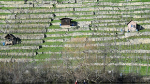 Keine Ölverschmutzung mehr auf Neckar bei Stuttgart