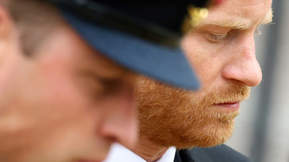 Prince Harry book gets critical mauling