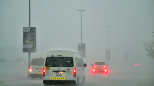 Tempête "exceptionnelle" à Dubaï, l'aéroport détourne une partie des vols