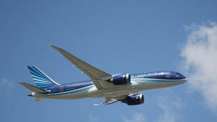 Boeing 2024 plane deliveries tumble on labor, safety woes