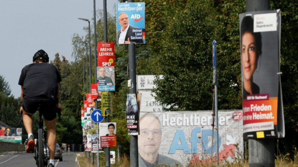 Bericht: Grüne überflügeln andere Parteien bei Budget für Bundestagswahlkampf