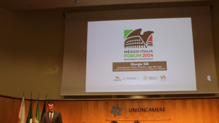 Italia-Messico, a Roma il primo business forum