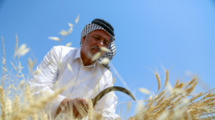 Between searing drought and Ukraine war, Iraq watchful over wheat