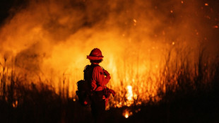 Slew of satellite projects aims to head off future wildfires