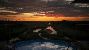 South African train makes safari trip, but never moves