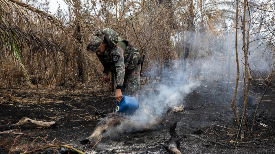 Brasile: dal governo aerei per combattere i roghi nel Pantanal