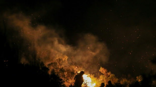 Argentine: 2.000 ha de forêt détruits par le feu, 200 foyers évacués en Patagonie