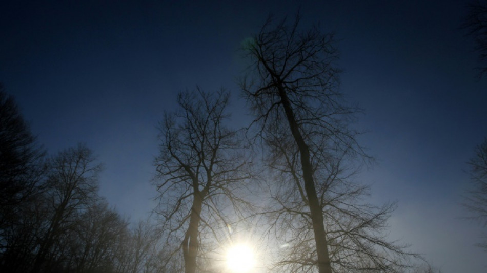 Wetterdienst erwartet eher milden Winter in Deutschland