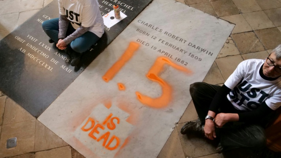 UK climate activists target Darwin's grave with chalk 