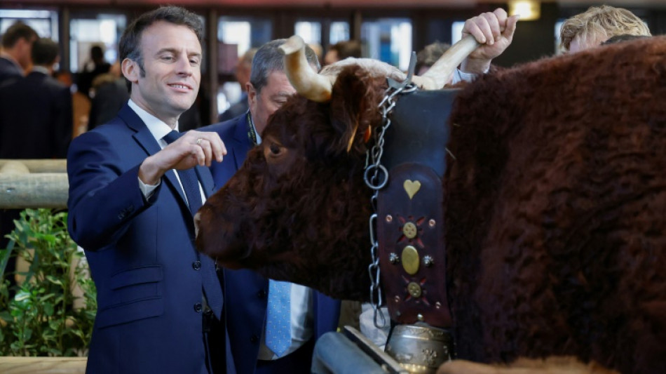 "De France et de Navarre", la ferme dans tous ses états au salon de l'Agriculture