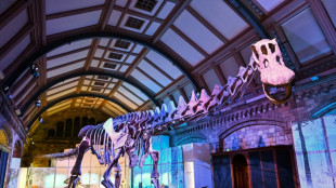 Una réplica del titanosaurio de la Patagonia se expone en Londres