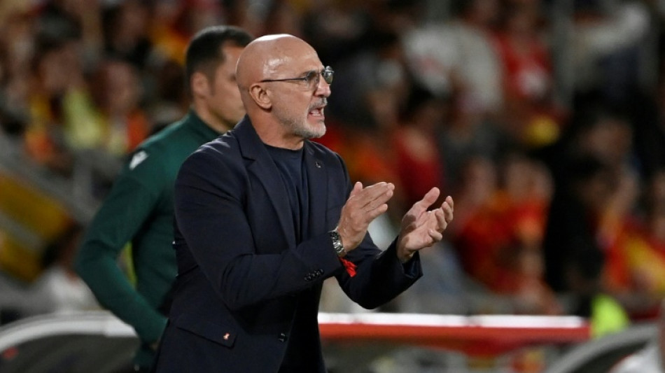 Spain's Euro 2024 winning coach De la Fuente extends contract