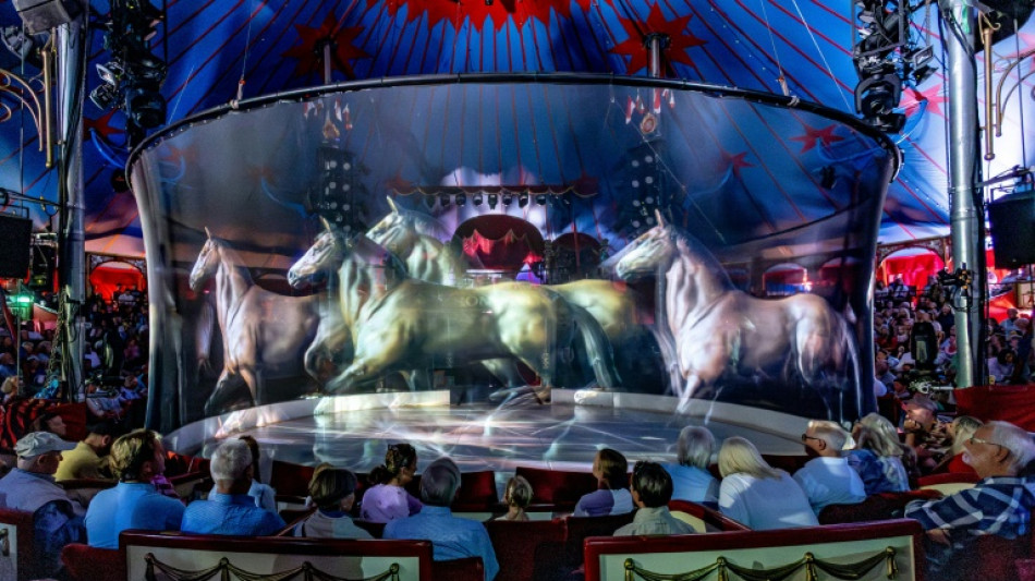 Quand un cirque allemand remplace des animaux par des hologrammes