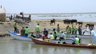 Trawling Iraq's threatened marshes to collect plastic waste