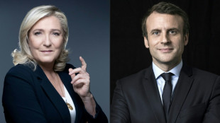 French presidency: What are Macron and Le Pen promising?