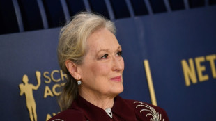 Meryl Streep, un modelo de estrella hollywoodiense, recibe su homenaje en Cannes