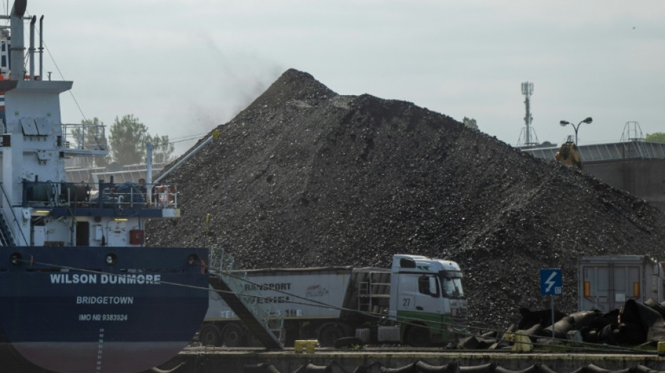 La ciudad polaca de Gdansk se sofoca por el polvo del carbón