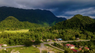 Activists slam 'destructive' Indonesia forest conversion plan