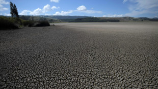 El Tribunal de Colombia reconoce el desplazamiento forzado por el cambio climático