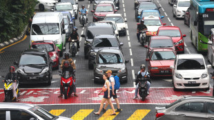 Nel traffico le auto somigliano ai batteri in cerca di cibo