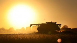 Landwirtschaftsmesse Grüne Woche startet in Berlin