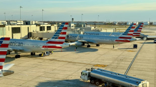 American Airlines shares fall on lackluster 2025 profit outlook