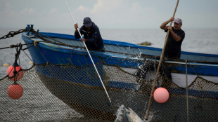 Neues MSC-Programm soll nachhaltigen Fischfang in Entwicklungsländern fördern