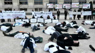 Científicos organizan en París cortejo fúnebre para los insectos