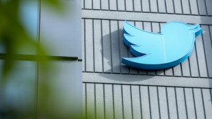 On-again, off-again Twitter subscription service to be relaunched