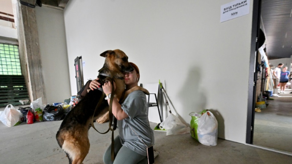 Des chats et des chiens sauvés des inondations en Ukraine trouvent un nouveau foyer