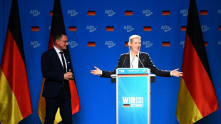 AfD beginnt Parteitag in Riesa - Weidel soll erste Kanzlerkandidatin werden