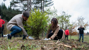 In Toscana nuova vita a 15mila mq di bosco di abete rosso