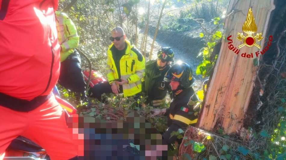 Operaio muore travolto da albero che stava tagliando