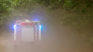 Feuerwehr kämpft weiter gegen Waldbrände in Brandenburg und Sachsen