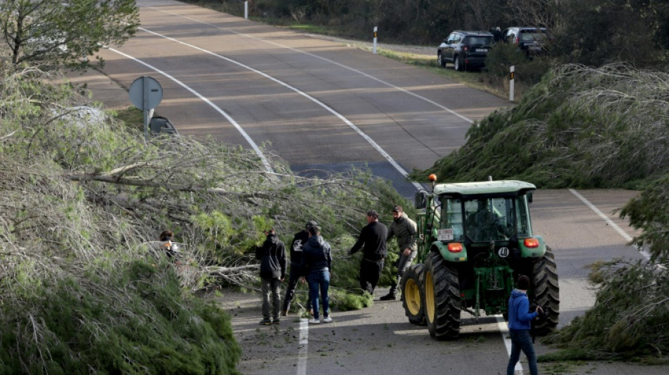 Agricultores españoles cortan carreteras cerca de la frontera con Francia