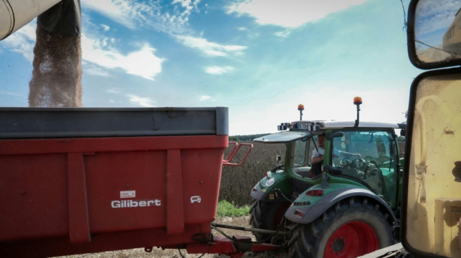 Entre les averses, les agriculteurs normands bouclent tant bien que mal la moisson des blés